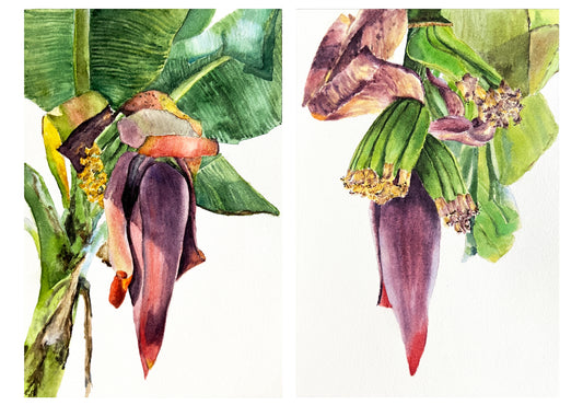 Banana Blossom (Set of 2)