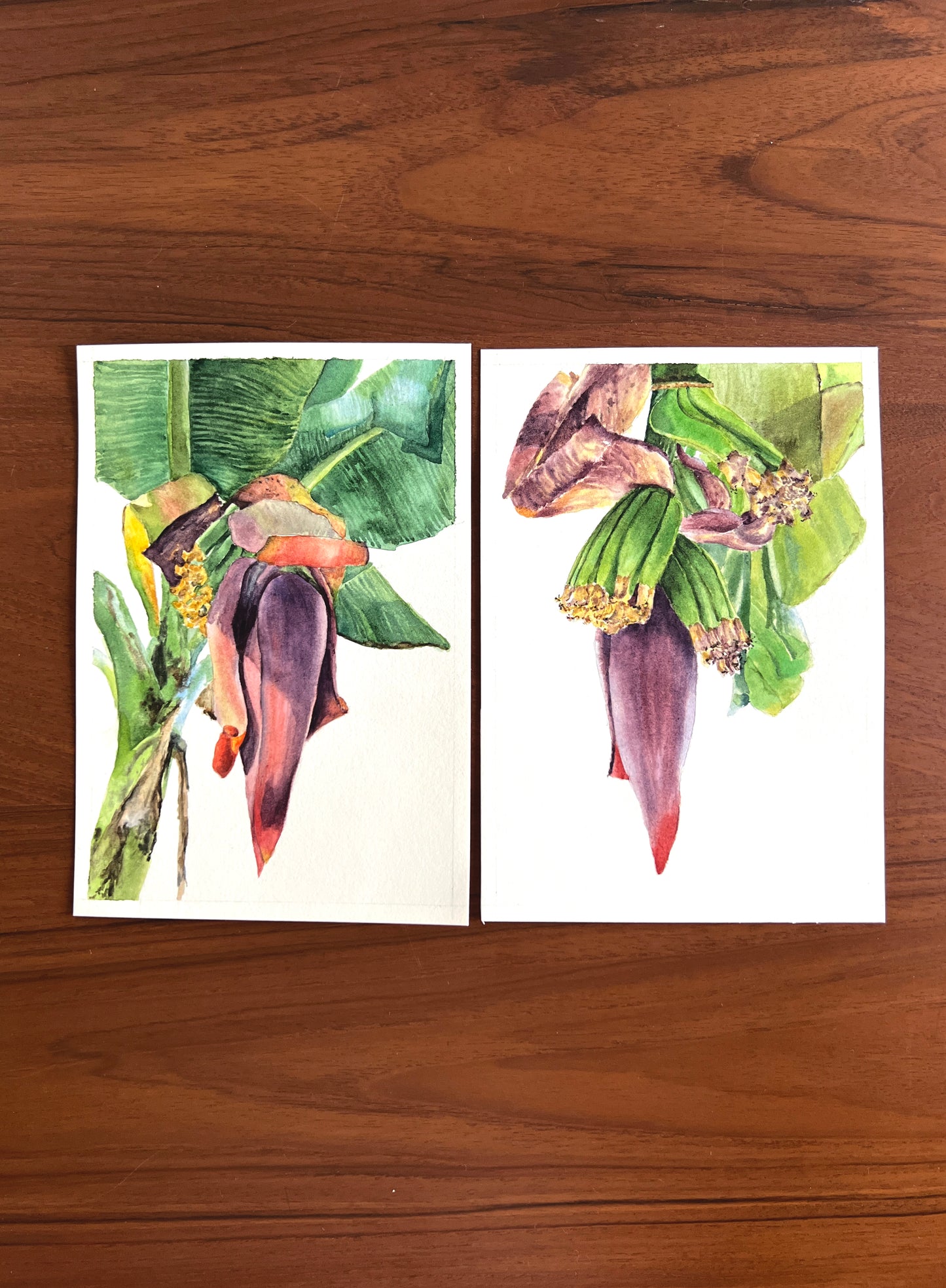 Banana Blossom (Set of 2)