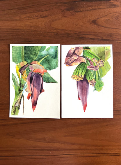 Banana Blossom (Set of 2)