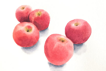 Pink lady apples