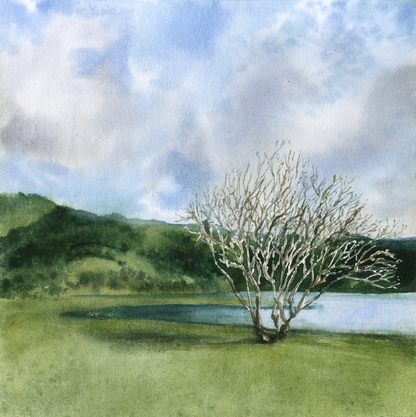 Sete Cidades, São Miguel